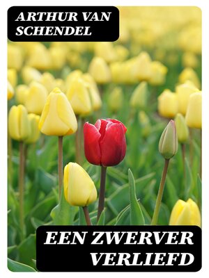 cover image of Een Zwerver Verliefd